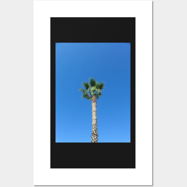 Single Palm Tree with Blue Sky Wall Art by Sandraartist